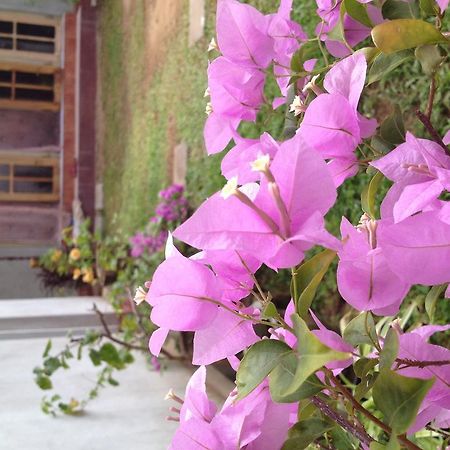 Manik Home Stay Kudapaduwa Exterior foto